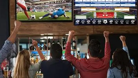 桑德兰对阵热刺：法国球员表现分析